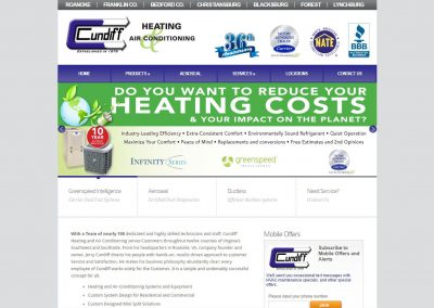 Client WordPress Site